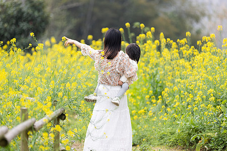 油菜花海中游玩的母女背影图片