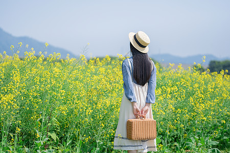 春天与少女油菜花海里的少女背景