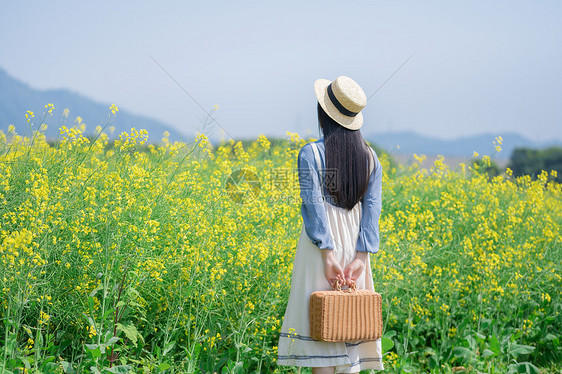 油菜花海里的少女图片