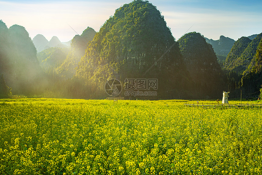 春天唯美的油菜花海图片