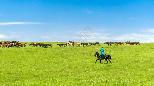呼和塔拉格根塔拉草原牧民和马群背景