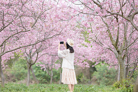 四月踏青春天出游踏青女生背影背景