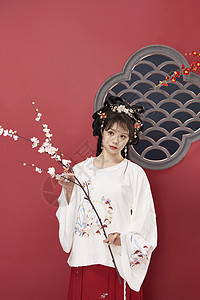 中国风古装美女手拿梅花枝背景图片