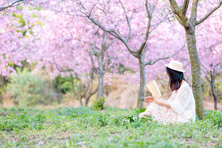 樱花树下读书文艺女生图片