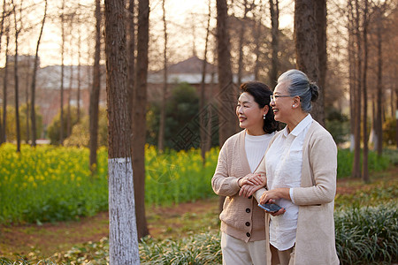 老年闺蜜一起在公园散步图片