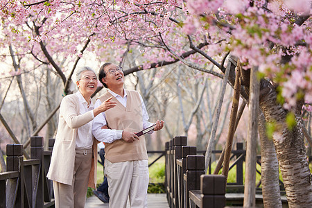 一起在公园赏花的老年夫妻图片