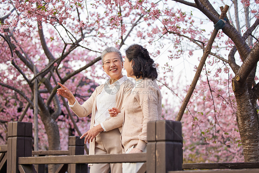 老年闺蜜一起在公园看樱花图片