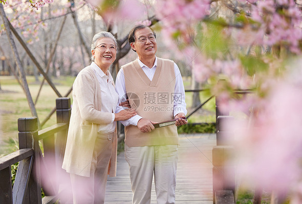 重阳节高清图库