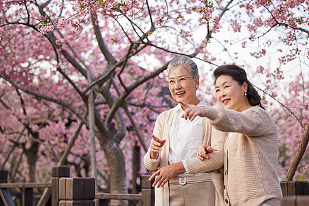 老年闺蜜在公园赏花背景图片