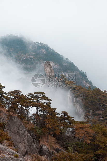 黄山飞来石云海图片