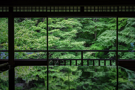 长青春科尔寺日本京都琉璃光院风景背景