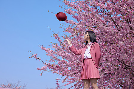 美女大学生逛游公园赏樱花背景图片