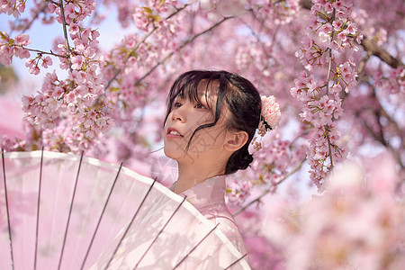 撑伞的日系清新和服樱花美女图片