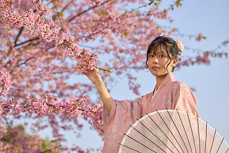 穿和服的樱花少女图片