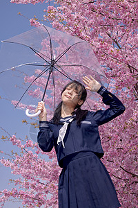 撑伞的美女大学生赏樱花图片