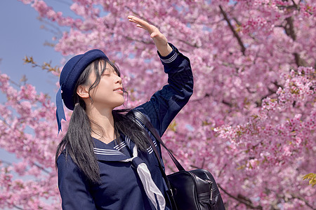 樱花树下日系美女初春赏樱花背景