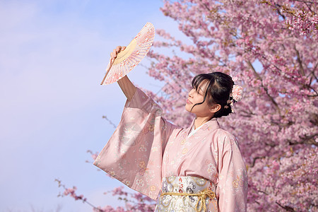 日系美女初春赏樱花背景图片