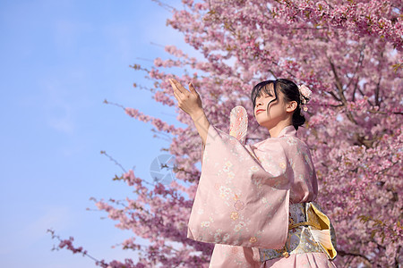 日系美女初春赏樱花背景图片