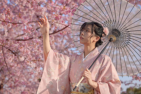 樱花树下日系和服美女初春赏樱花背景