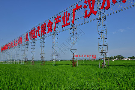 四川现代粮食开发区的良田图片