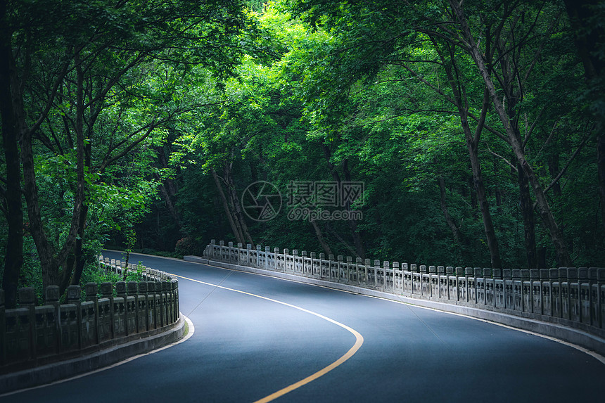 南京钟山风景区灵谷寺路绿道图片