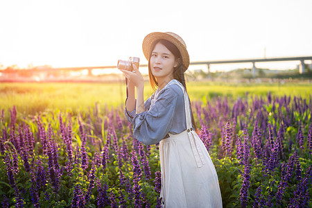 普通女孩鼠尾草花海里的少女背景