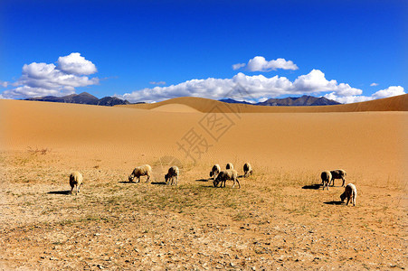 山南风光图片