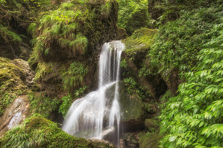 四川成都青城山风光图片