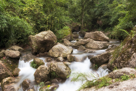 四川成都青城山风光图片