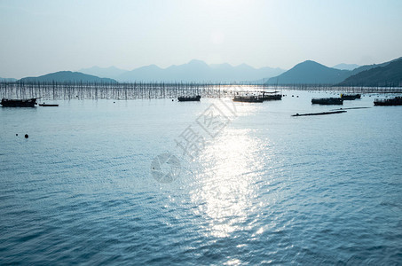 福建霞浦海上竿影图片