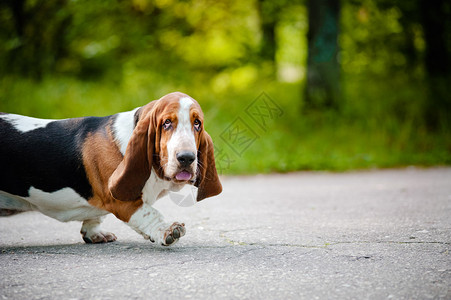 🔥🔥萨卡是阿森纳队史首位连续四个欧冠客场都取得进球的球员