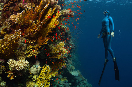 邵佳一上任国足！媒体人：西海岸暂时由德国助教毛雷尔带完本赛季