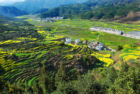 江西婺源风景图片