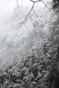 峨眉山雪景图片