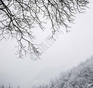 峨眉山雪景图片