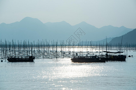 福建霞浦海上竿影图片