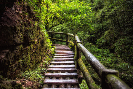 四川成都青城山风光图片