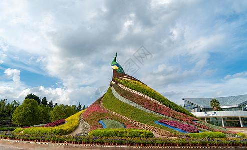 昆明世博园5A级景区背景