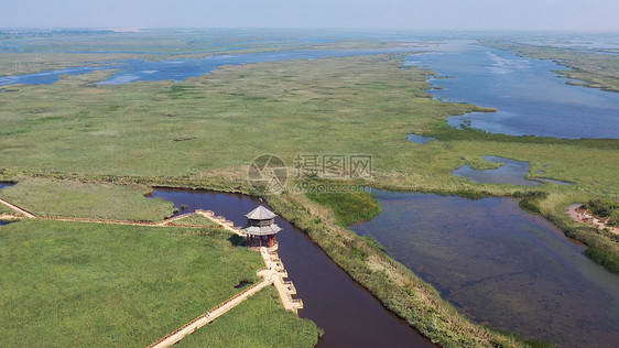 山东东营黄河口国家湿地5A景区图片