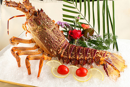龙虾刺身健康食物冰鲜高清图片