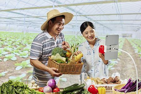 农业电商菜农夫妻网络直播售卖蔬菜背景