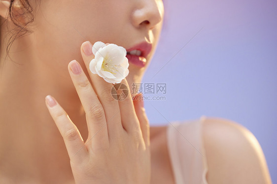 女性手拿花卉特写图片