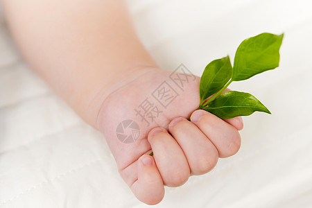 亲子写真婴儿手里拿着绿色的叶子背景