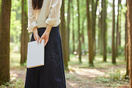 阳光洒在树林里在树林里手拿书本的美女背影背景