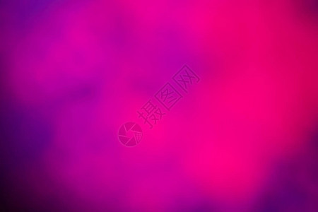 紫色和粉红色的洒红节粉图片