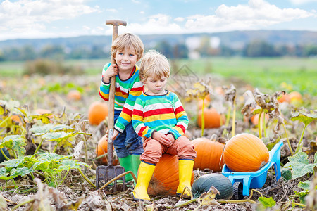 两个小男孩在秋天坐在大南瓜上背景图片