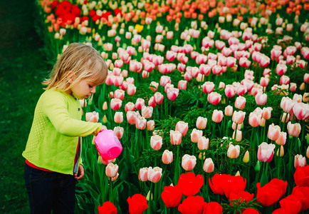 在花园里浇花的小女孩图片