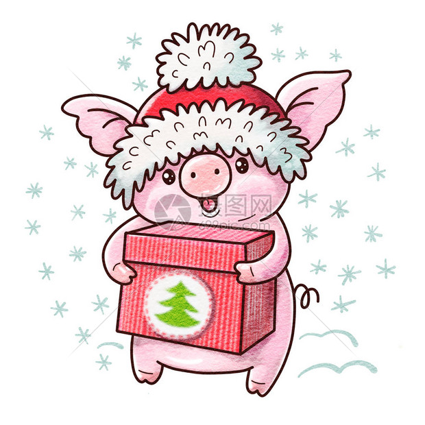 冬季插图用可爱的卡通猪和礼物画用水图片