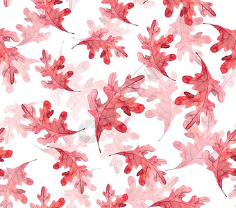 无缝秋季天花卉模式白背景图片