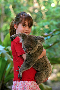 在澳大利亚昆士兰州持有Koa图片